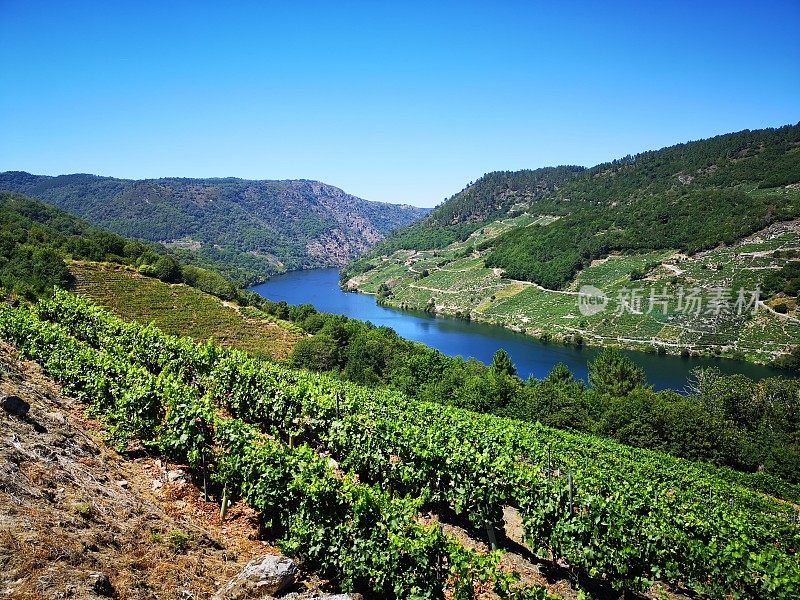 Ribeira Sacra (Sil River Canyons)的风景